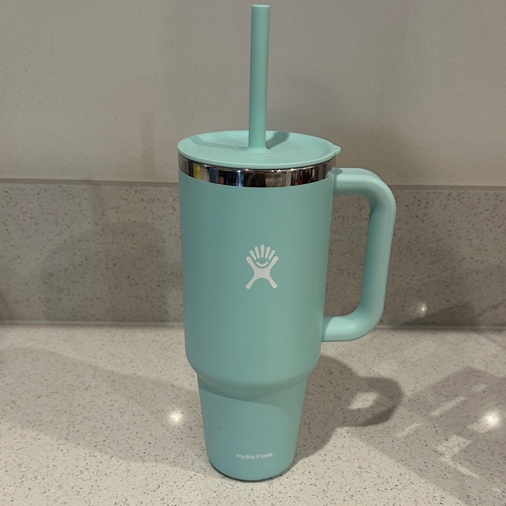 Hydro Flask Mint Green Tumbler with Straw and Handle